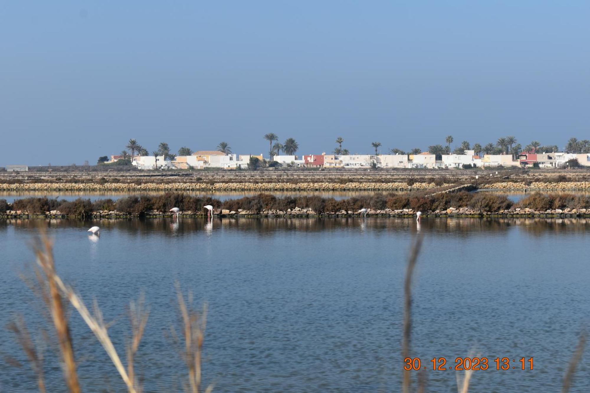 Apart Turisticos Marine Rest La Manga Mar Menor Piscinas Privadas Playa Paraiso  Luaran gambar